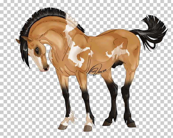 Mustang Foal Mare Mane Halter PNG, Clipart,  Free PNG Download