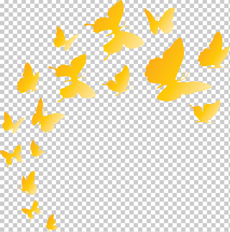 Butterfly Background Flying Butterfly PNG, Clipart, Butterfly Background,  Flying Butterfly, Line, Meter, Yellow Free PNG Download