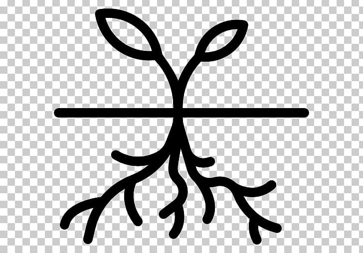 Computer Icons Root Germination PNG, Clipart, Angelica Archangelica, Artwork, Black, Black And White, Branch Free PNG Download