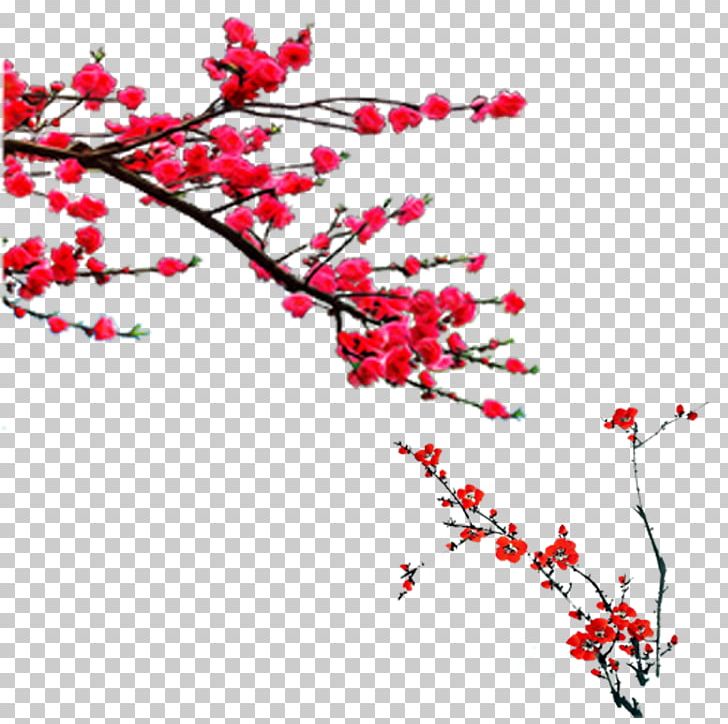 Plum Blossom Chimonanthus Praecox PNG, Clipart, Blossom, Branch, Cherry Blossom, Chimonanthus Praecox, Computer Icons Free PNG Download