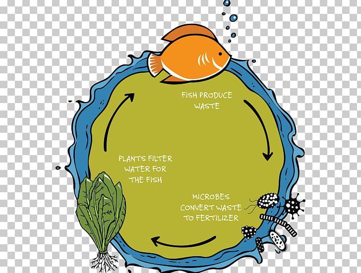 Aquaponics Infographic Food Hydroponics PNG, Clipart, Agriculture, Aquaponics, Area, Circle, Fish Free PNG Download