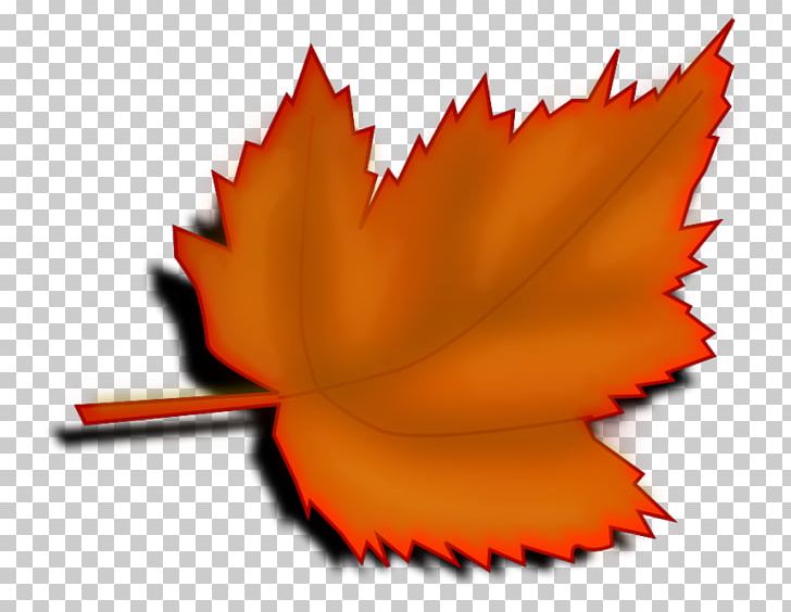 Autumn Leaf Color Desktop PNG, Clipart, Autumn, Autumn Leaf Color, Computer Icons, Desktop Wallpaper, Download Free PNG Download