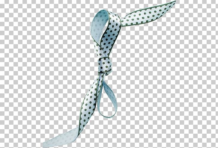 Clothing Accessories Fashion Turquoise PNG, Clipart, Arkaplan, Clothing Accessories, En Guzel, Fashion, Fashion Accessory Free PNG Download