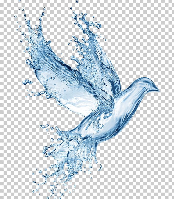 Holy Spirit In Christianity Baptism Holy Water PNG, Clipart, Baptism, Beak, Bird, Dolphin, Drawing Free PNG Download