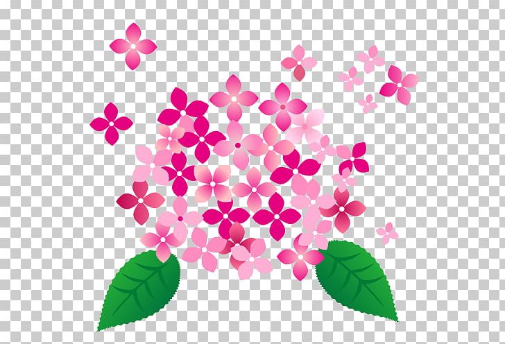 Pink Hydrangea Flower. PNG, Clipart, Color, Flora, Floral Design, Flower, Flowering Plant Free PNG Download