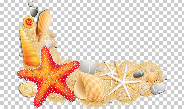 Seashell PNG, Clipart, Animals, Beach, Blank Map, Blog, Invertebrate Free PNG Download