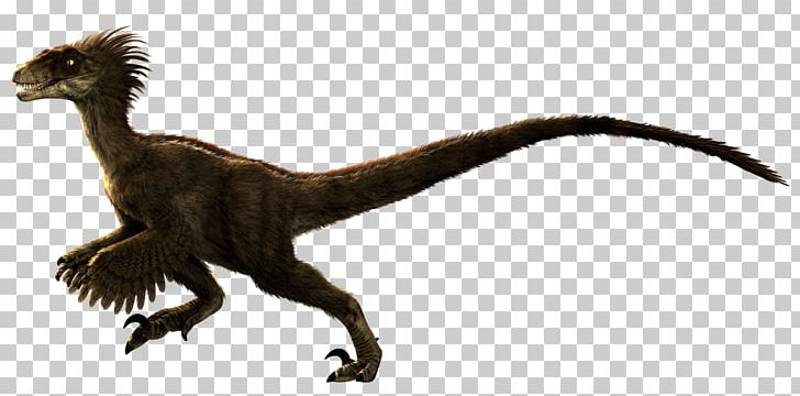 Velociraptor Primal Carnage: Extinction Tyrannosaurus Spinosaurus PNG, Clipart, Animals, Bird, Bird Of Prey, Carnotaurus, Dinosaur Free PNG Download