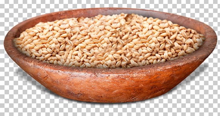 Cereal Germ Breakfast Cereal Corn Flakes Vegetarian Cuisine PNG, Clipart, Barley, Breakfast, Breakfast Cereal, Centro Sul Corretora De Cereais, Cereal Free PNG Download