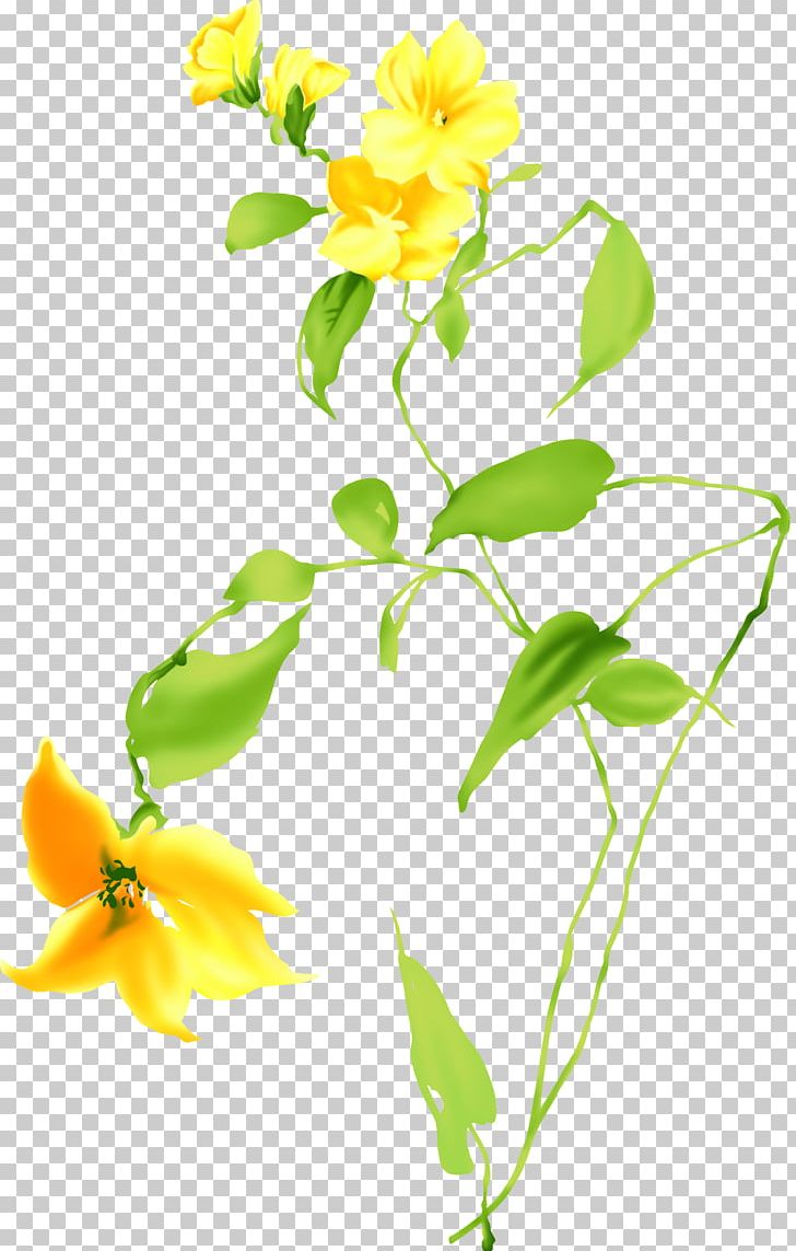 Cut Flowers Yellow Plant PNG, Clipart, Branch, Cut Flowers, Flora, Floral Design, Floristry Free PNG Download
