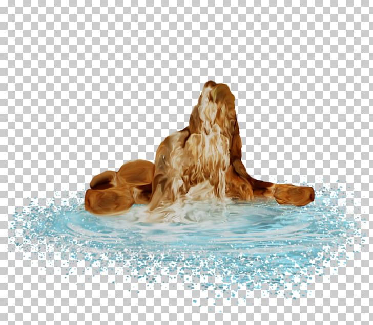 Dog Water Fur Snout Canidae PNG, Clipart, Animals, Beauti, Canidae, Dog, Dog Like Mammal Free PNG Download