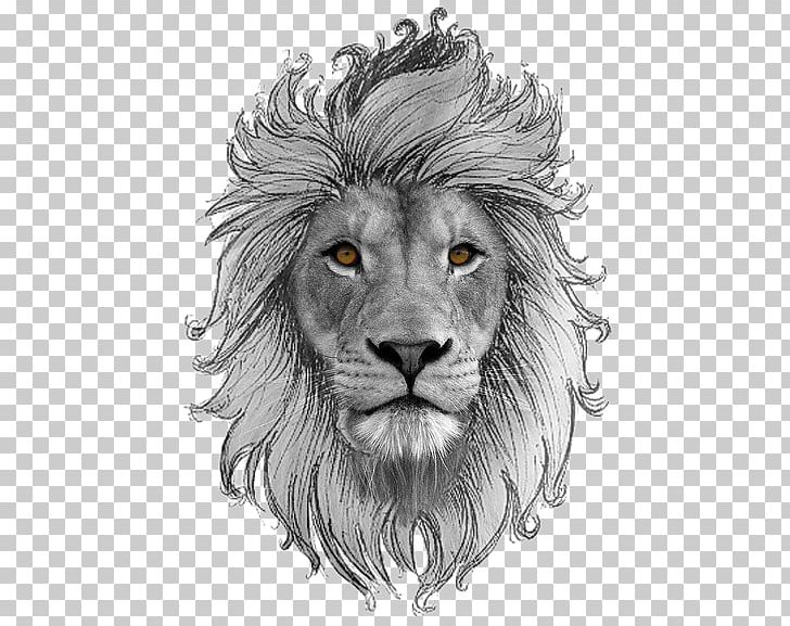 Leo PNG, Clipart, Leo Free PNG Download