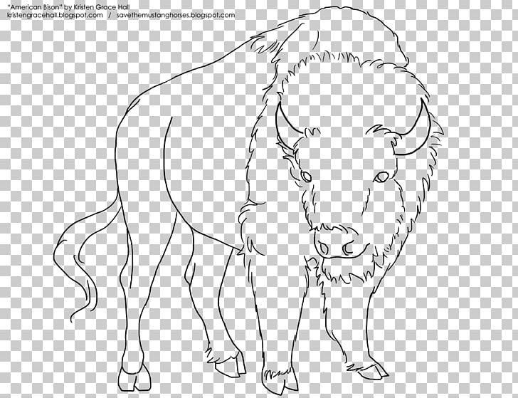 Line Art Drawing American Bison Horse Sketch PNG, Clipart, Angle, Animal, Animals, Art, Artwork Free PNG Download