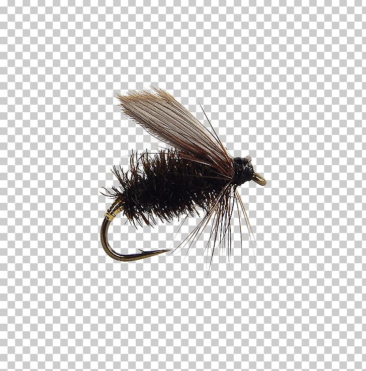 Artificial Fly Hare's Ear Insect Holly Flies PNG, Clipart,  Free PNG Download