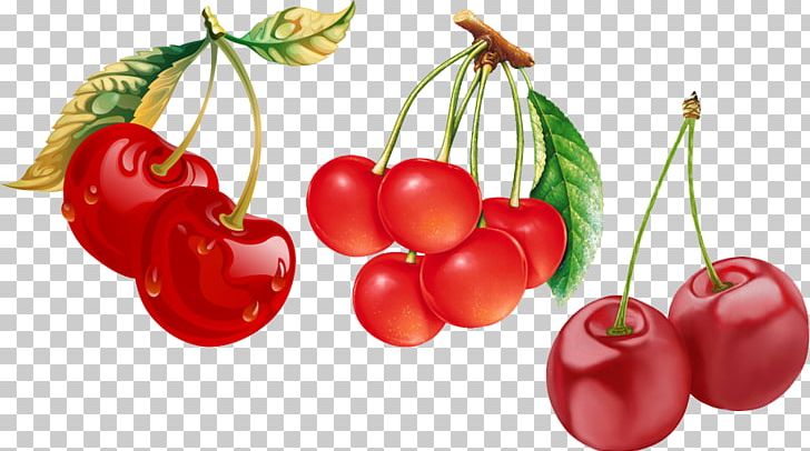 Cherry Blossom PNG, Clipart, Cherry, Delicious, Diet Food, Display Resolution, Drop Free PNG Download