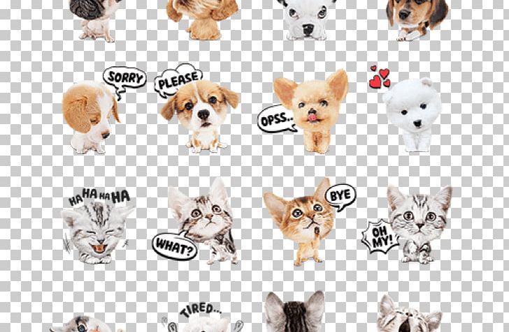 Puppy Cat Dog Breed Kitten Dachshund PNG, Clipart, Animal, Animals, Body Jewelry, Bumper Sticker, Carnivoran Free PNG Download