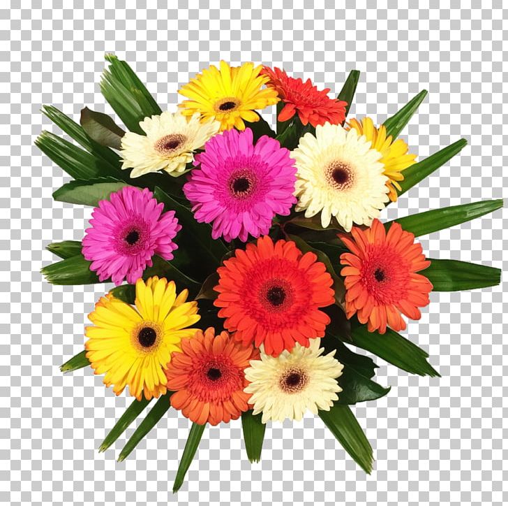 Transvaal Daisy Floral Design Flower Bouquet Cut Flowers PNG, Clipart, Arrangement, Bonsoni Lilac Gerbera Bouquet, Chrysanthemum, Cotton Tree Florist, Cut Flowers Free PNG Download