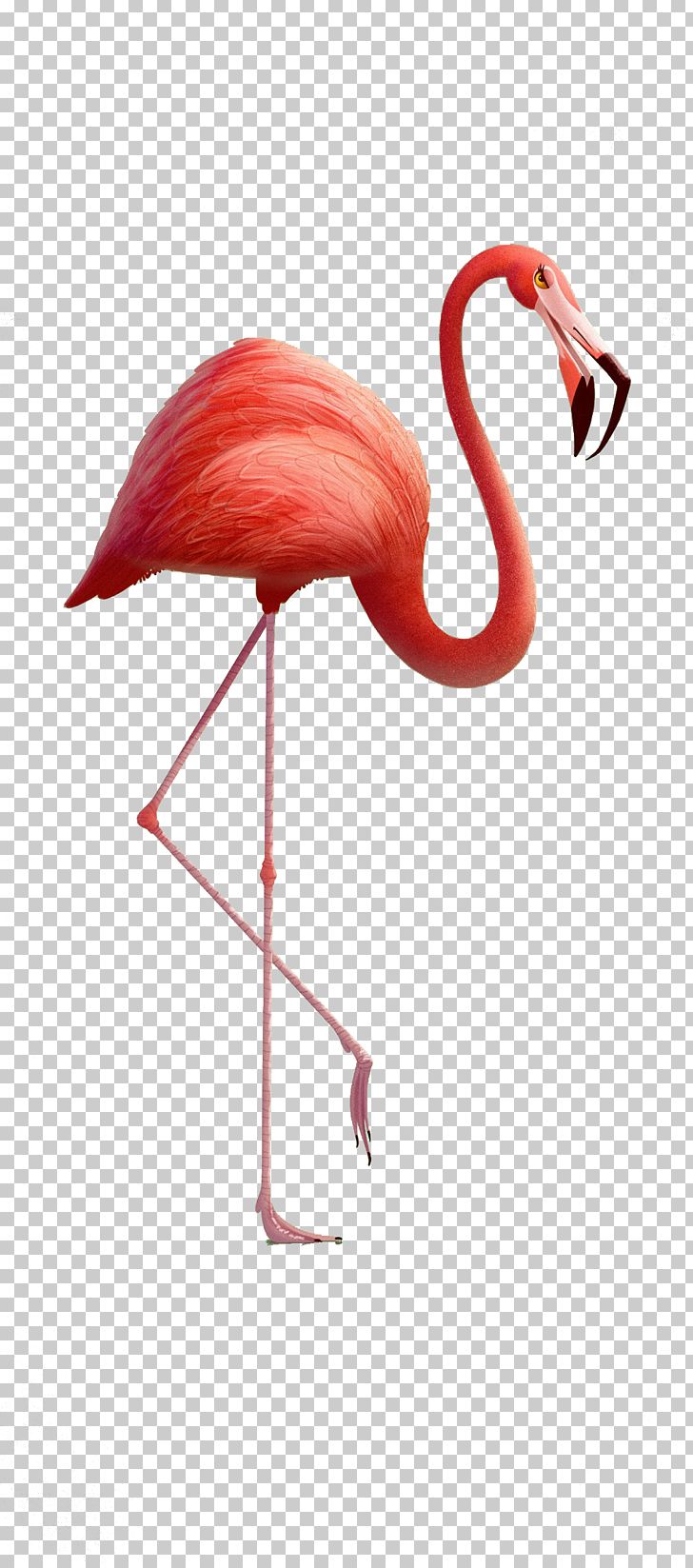 3d Red Red-crowned Crane PNG, Clipart, Animal, Art, Beak, Bird, Character Free PNG Download