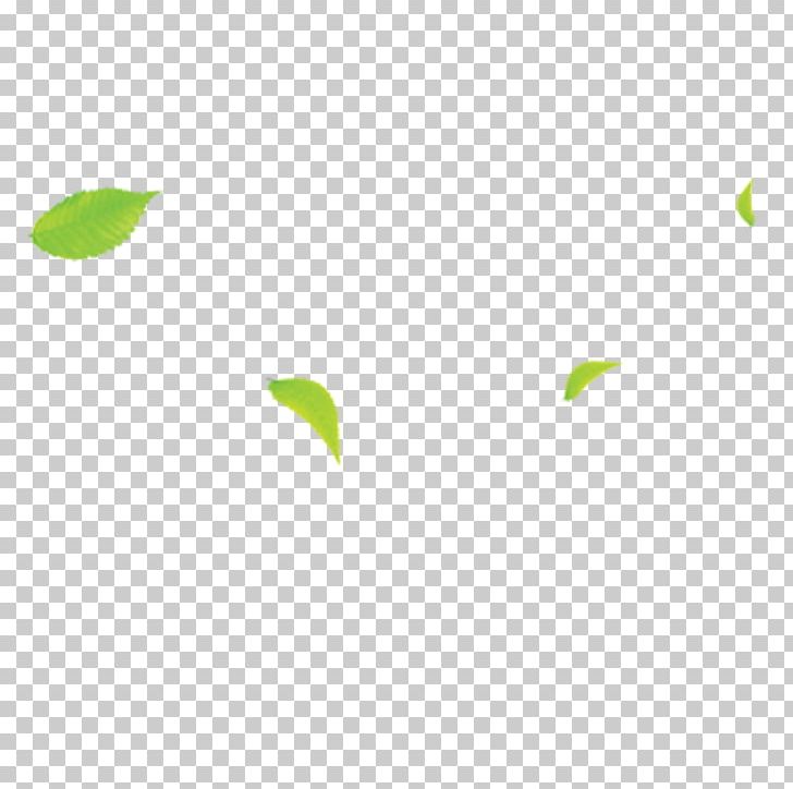 Area Angle Pattern PNG, Clipart, Angle, Area, Autumn Leaves, Banana Leaves, Fall Leaves Free PNG Download