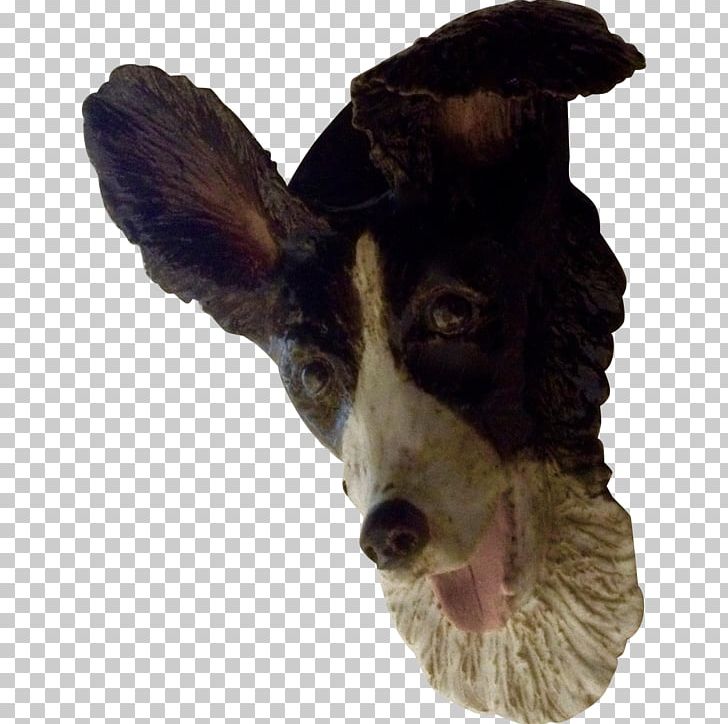 Dog Breed Snout Fur PNG, Clipart, Animals, Breed, Dog, Dog Breed, Dog Like Mammal Free PNG Download
