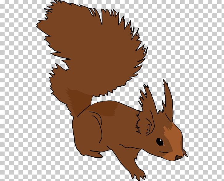 Squirrel PNG, Clipart, American Red Squirrel, Carnivoran, Cartoon, Cartoon Pictures Of Squirrels, Dog Like Mammal Free PNG Download