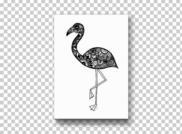 Bird Drawing Beak Fauna /m/02csf PNG, Clipart, Beak, Bird, Drawing, Fauna, Feather Free PNG Download