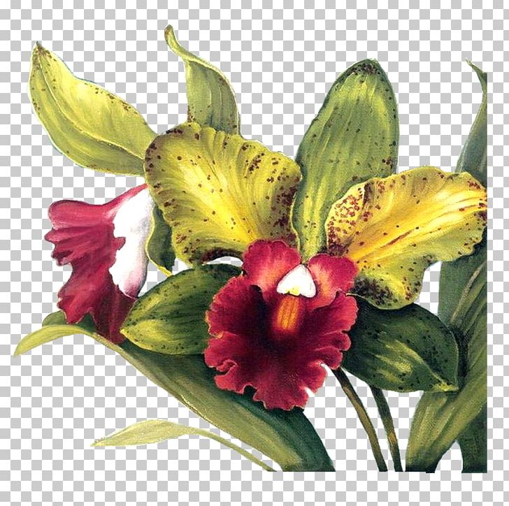 Flower Paper Decoupage Painting PNG, Clipart, Alstroemeriaceae, Art, Audit, Botanical Illustration, Botany Free PNG Download