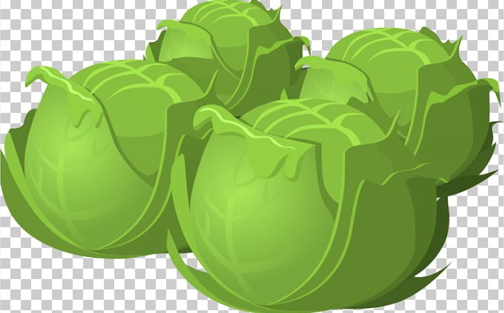 Red Cabbage Brussels Sprout Vegetable PNG, Clipart, Brassica Oleracea, Brussels Sprout, Cabbage, Cartoon, Fascinating Cliparts Free PNG Download