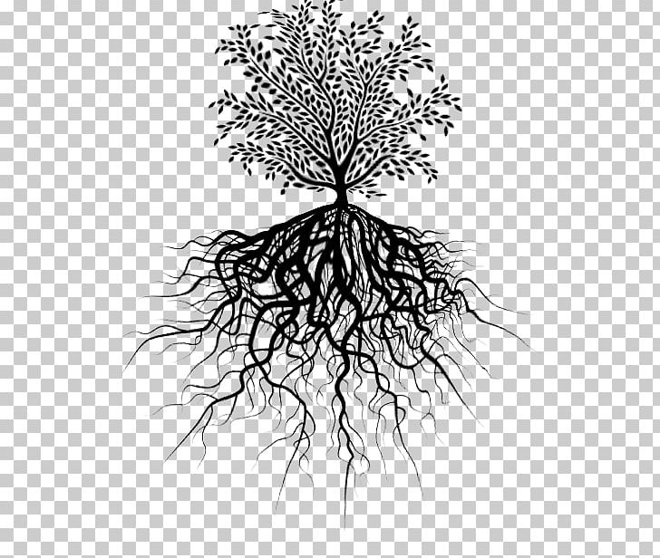 Twig Tree Of Life Root Branch PNG, Clipart, Background Tree, Black And White, Drawing, Flora, Flower Free PNG Download