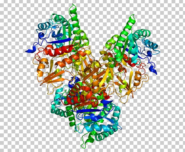 CHI3L1 Chitinase Protein Secretion Gene PNG, Clipart, 3 L, Antibody, Art, Biomarker, Cdna Library Free PNG Download