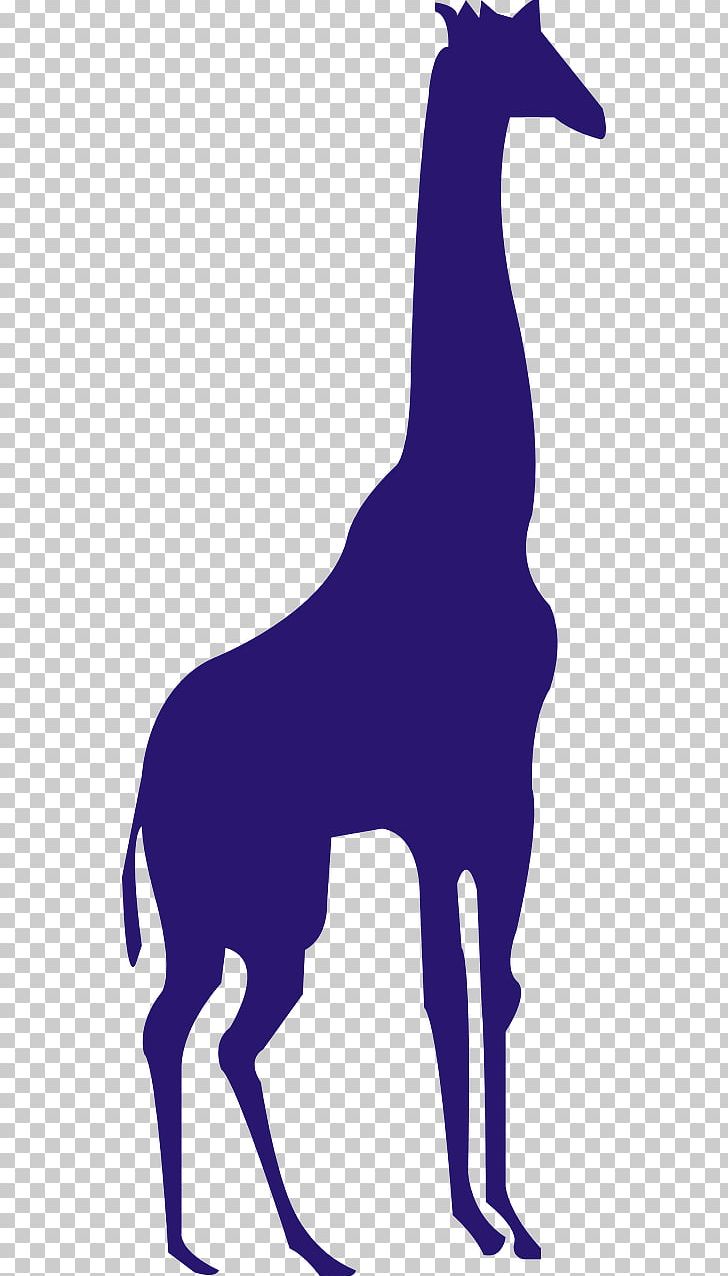 Northern Giraffe Animal PNG, Clipart,  Free PNG Download