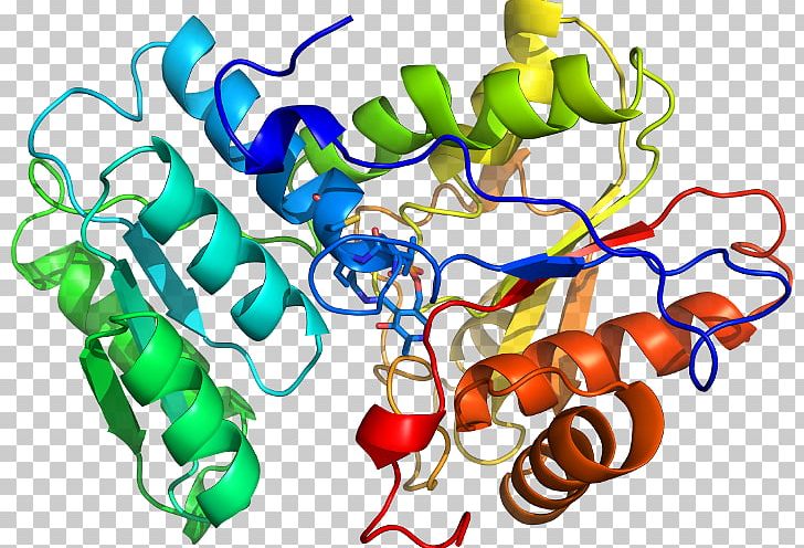 Tryptophan Synthase Enzyme Pyridoxal Phosphate PNG, Clipart, 1 X, Artwork, Chain, Context, D 4 Free PNG Download