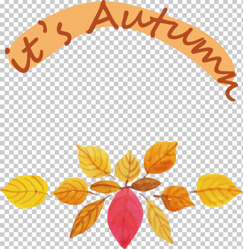 Floral Design PNG, Clipart, Arts, Autumn, Cartoon, Christmas, Drawing Free PNG Download