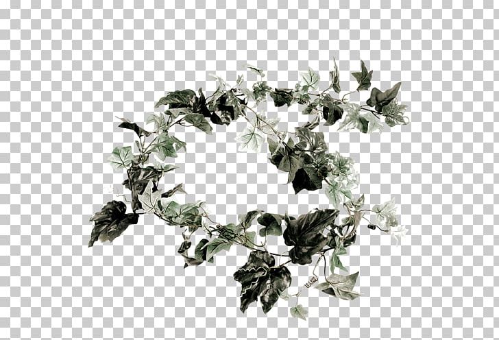 Common Ivy Artificial Flower Vine Ground-ivy PNG, Clipart, Artificial Flower, Branch, Cache, Common Ivy, Devils Ivy Free PNG Download