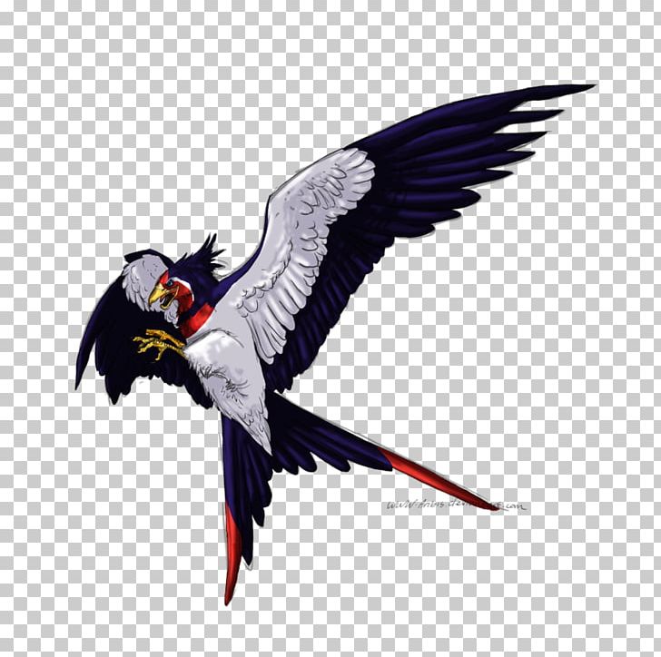Macaw Parrot Beak Wing Feather PNG, Clipart, Animals, Anka Guzellik Salonu, Beak, Bird, Bird Of Prey Free PNG Download