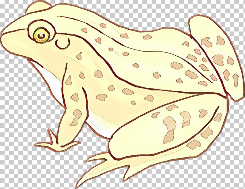 Hyla Tree Frog Wood Frog True Frog Anaxyrus PNG, Clipart, Anaxyrus, Chorus Frog, Frog, Hyla, Leaf Free PNG Download