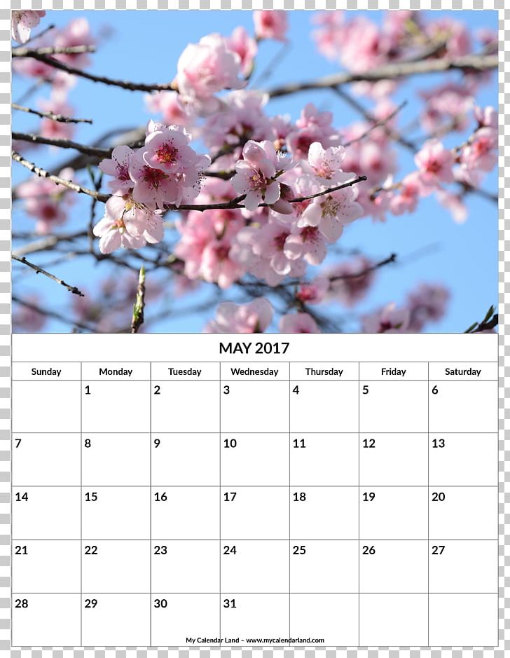 Calendar No Ga Садница To PNG, Clipart, Blossom, Branch, Calendar, Cherry Blossom, Flower Free PNG Download