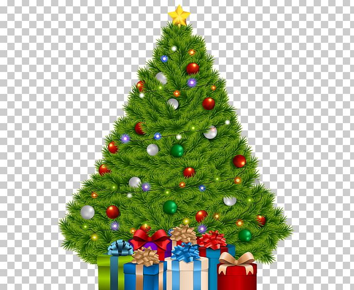 Christmas Ornament Christmas Tree Christmas Decoration Centrepiece PNG, Clipart,  Free PNG Download