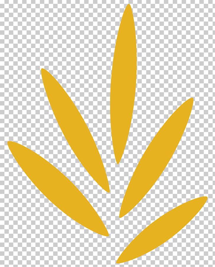 Leaf Teresa's Prime PNG, Clipart,  Free PNG Download