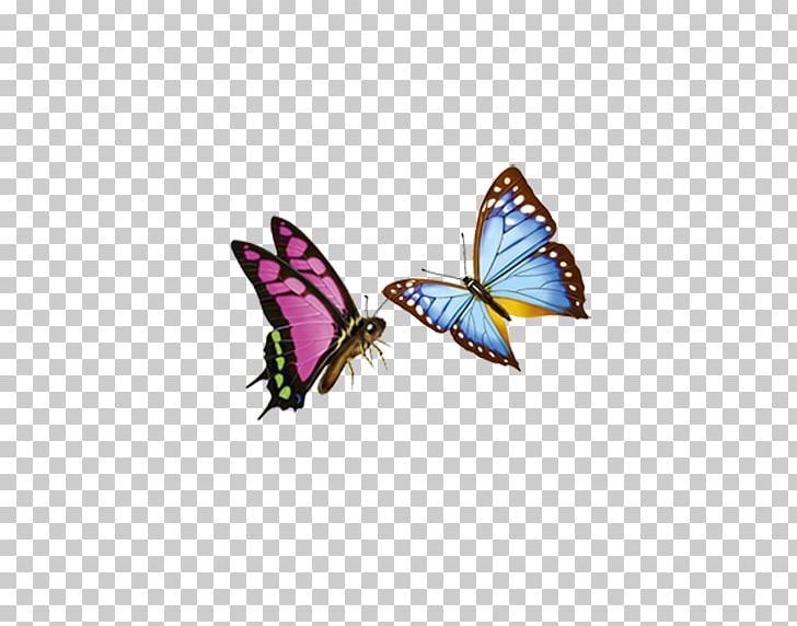 Monarch Butterfly Preview Icon PNG, Clipart, Blue Butterfly, Brush Footed Butterfly, Butterflies, Butterfly, Butterfly Group Free PNG Download