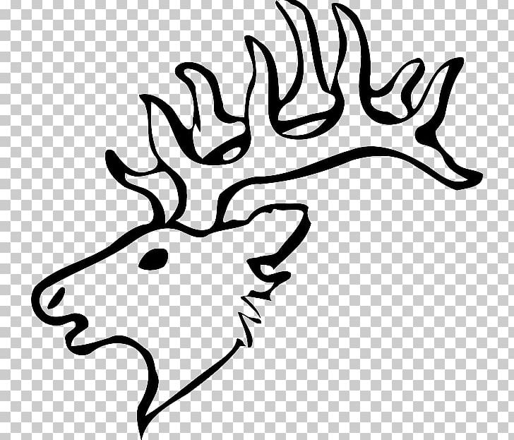 White-tailed Deer Drawing Reindeer PNG, Clipart, Antler, Art, Artwork, Black And White, Deer Free PNG Download