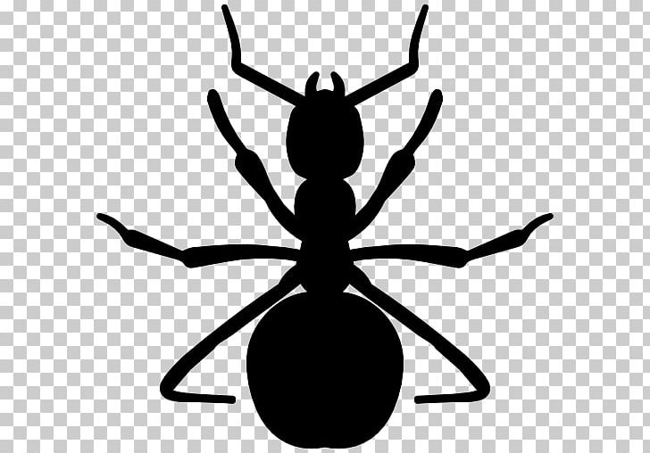 Ant Insect PNG, Clipart, Animal, Animals, Ant, Argentine Ant, Arthropod Free PNG Download