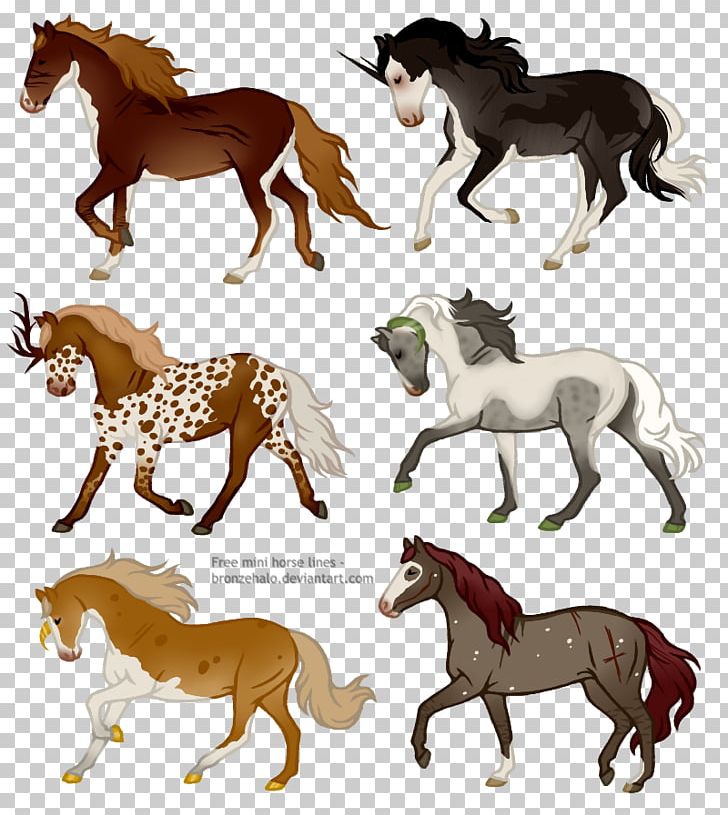 Mustang Mare Stallion Foal Mane PNG, Clipart,  Free PNG Download
