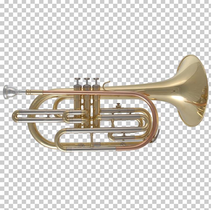 Cornet Trumpet Tenor Horn Mellophone Saxhorn PNG, Clipart, Alto Horn, Baritone Horn, Brass, Brass Instrument, Brass Instruments Free PNG Download