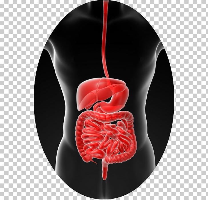Gastrointestinal Tract Human Microbiota Health Nutrition PNG, Clipart, Ascites, Bacteria, Diabetes Mellitus, Diet, Digestion Free PNG Download