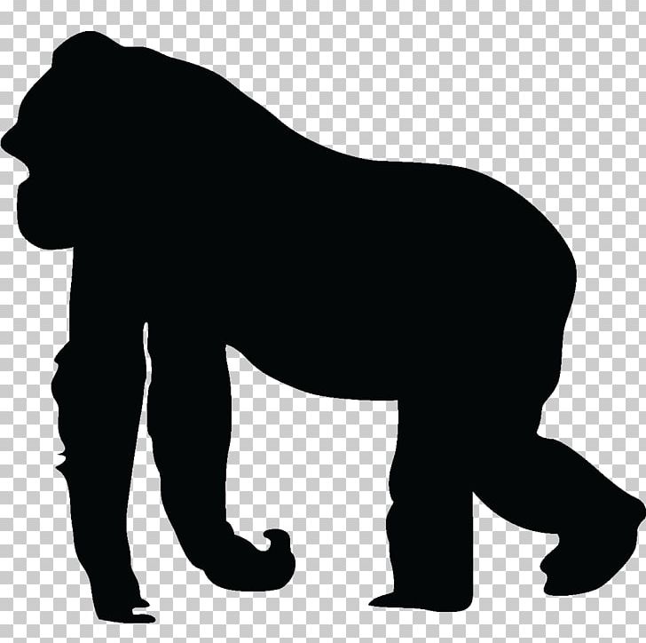 silverback gorilla silhouette