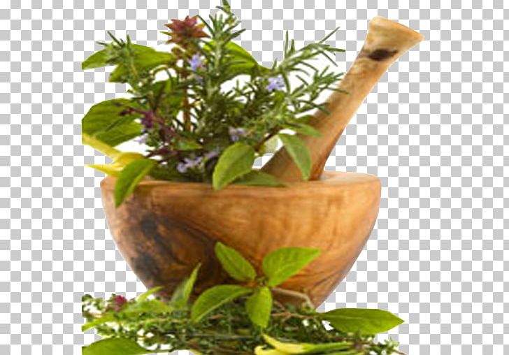 Herbalism Alternative Health Services Traditional Chinese Medicine PNG, Clipart, Acupressure, Acupuncture, Alternative Health Services, Ayurveda, Cure Free PNG Download