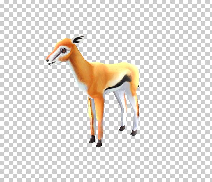 Springbok Impala Gazelle Terrestrial Animal Snout PNG, Clipart, Animal, Animal Figure, Antelope, Chevrolet Impala, Cow Goat Family Free PNG Download