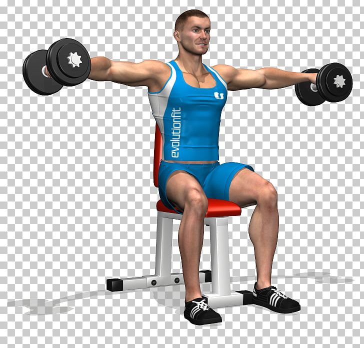 Triceps Brachii Muscle Dumbbell Deltoid Muscle Rear Delt Raise Exercise PNG, Clipart, Abdomen, Arm, Bodybuilder, Boxing Glove, Exercise Free PNG Download