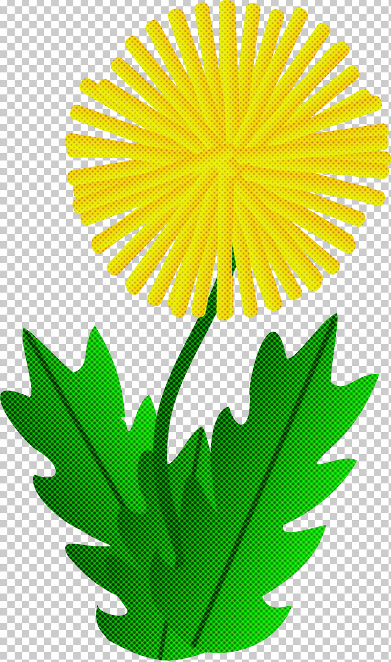 Yellow Leaf Flower Plant Dandelion PNG, Clipart, Chamomile, Dandelion, English Marigold, Flower, Leaf Free PNG Download