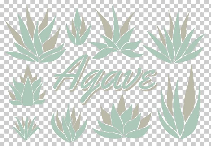 Aloe Vera Agave Azul Agave Vilmoriniana Tequila PNG, Clipart, Agave, Agave Azul, Agave Cactus, Agave Palmeri, Aloe Free PNG Download